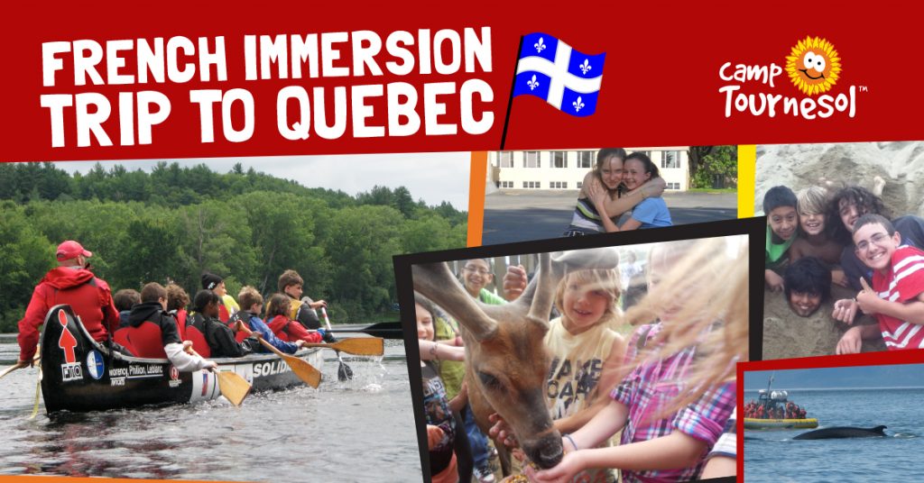 French Immersion Summer Camp In Quebec Camp Tournesol