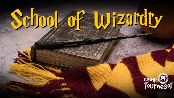 school of wizardry